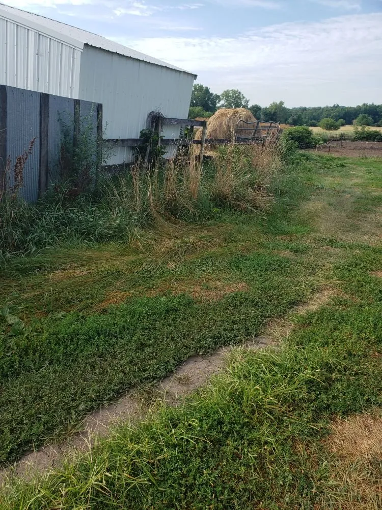 Affordable outdoor landscaping in Rock Island, IL by QSGCU-LAWNCARE