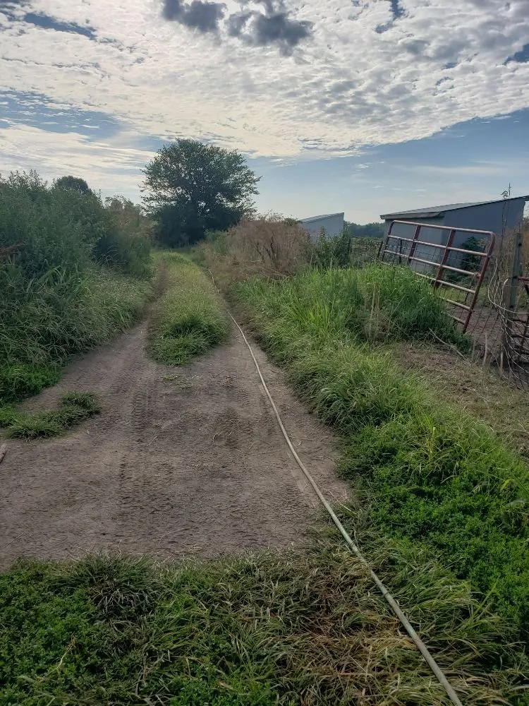 Reliable lawn mowing service in Rock Island, IL by QSGCU-LAWNCARE