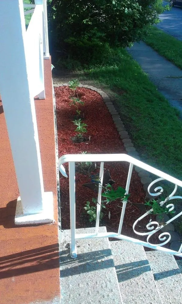 Local lawn mowing service in Rock Island, IL by QSGCU-LAWNCARE