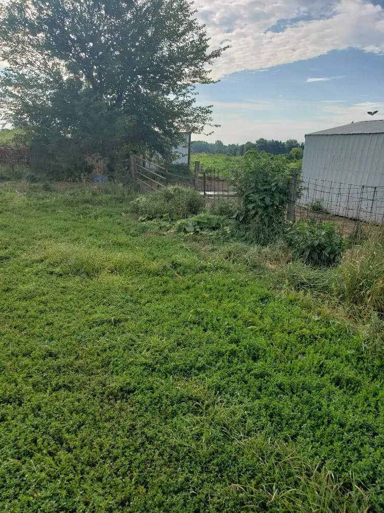 Reliable outdoor landscaping for residential properties across Rock Island, IL - QSGCU-LAWNCARE