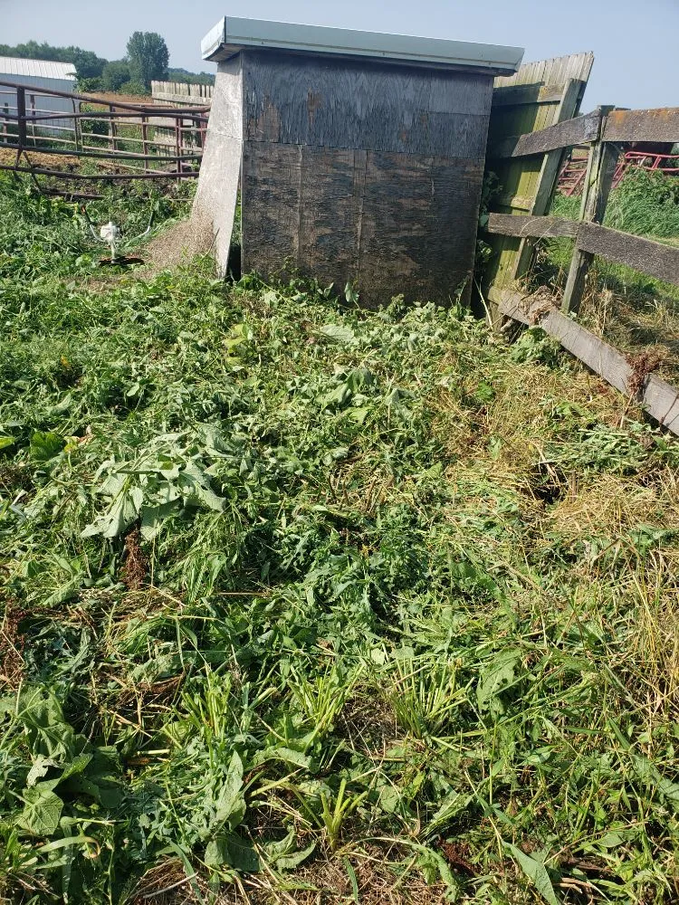 Trusted residential landscaping in Rock Island, IL by QSGCU-LAWNCARE