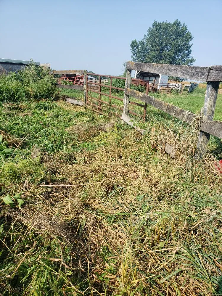 Affordable lawn care service in Rock Island, IL - QSGCU-LAWNCARE