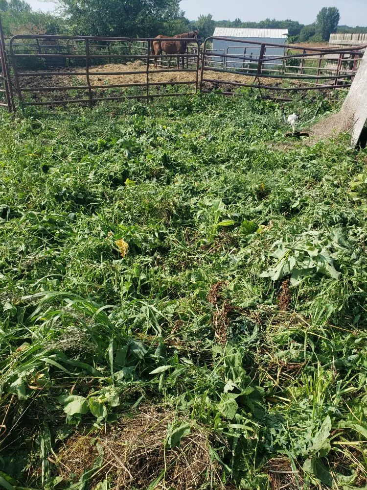 Top-rated residential landscaping in Rock Island, IL - QSGCU-LAWNCARE