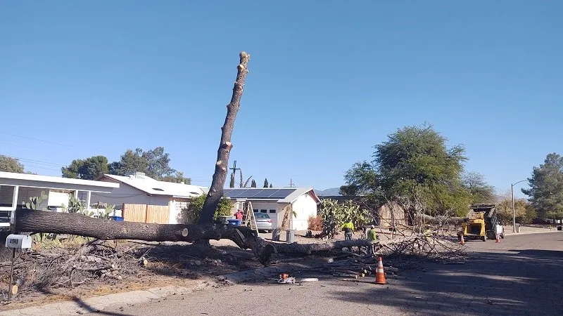 Local landscape installation for homes across Tucson, AZ - Q&T Services