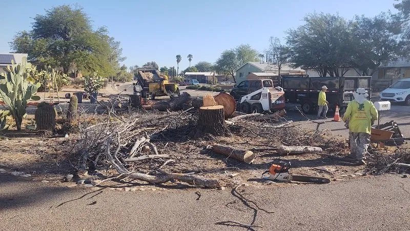 Custom landscape installation in Tucson, AZ by Q&T Services