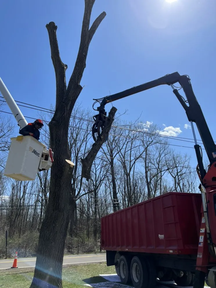 Reliable landscape design in Horseheads, NY - QTS Quality Tree Service