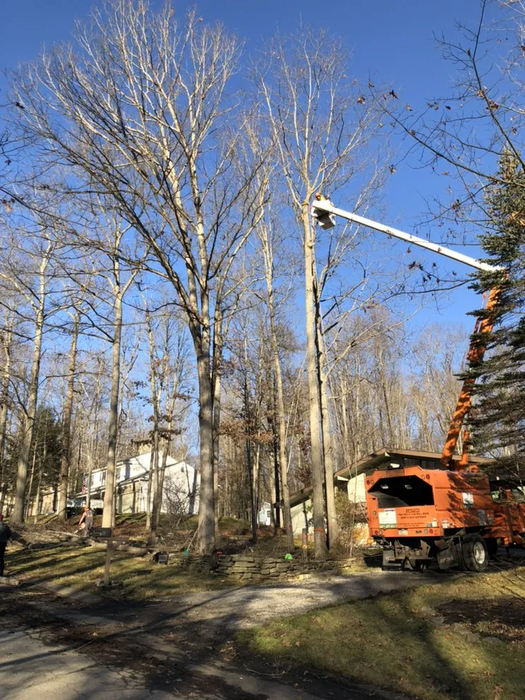 Expert garden landscaping with custom design across Horseheads, NY - QTS Quality Tree Service