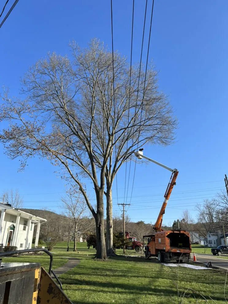 Trusted garden landscaping in Horseheads, NY - QTS Quality Tree Service