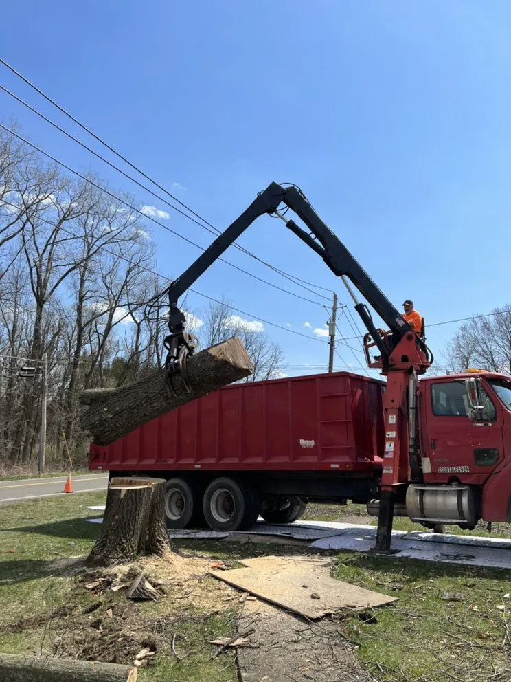 Affordable lawn care service near you in Horseheads, NY by QTS Quality Tree Service