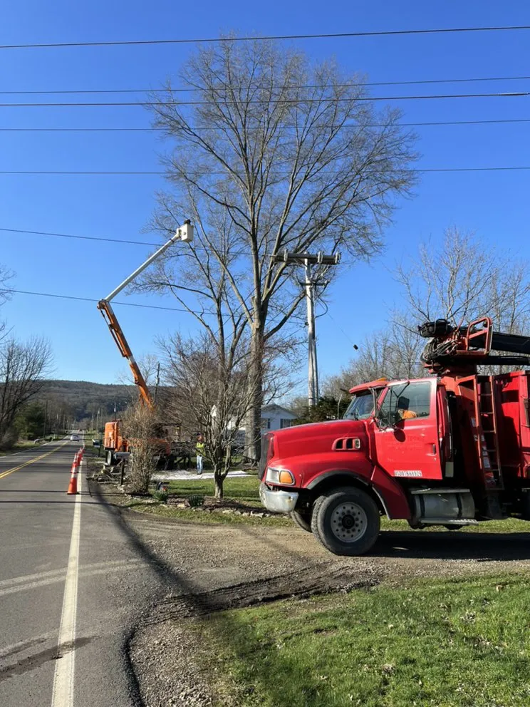 Professional landscape installation for residential properties in Horseheads, NY by QTS Quality Tree Service