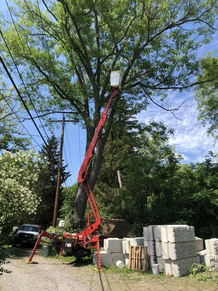 Top-rated yard maintenance for beautiful yards across Horseheads, NY - QTS Quality Tree Service