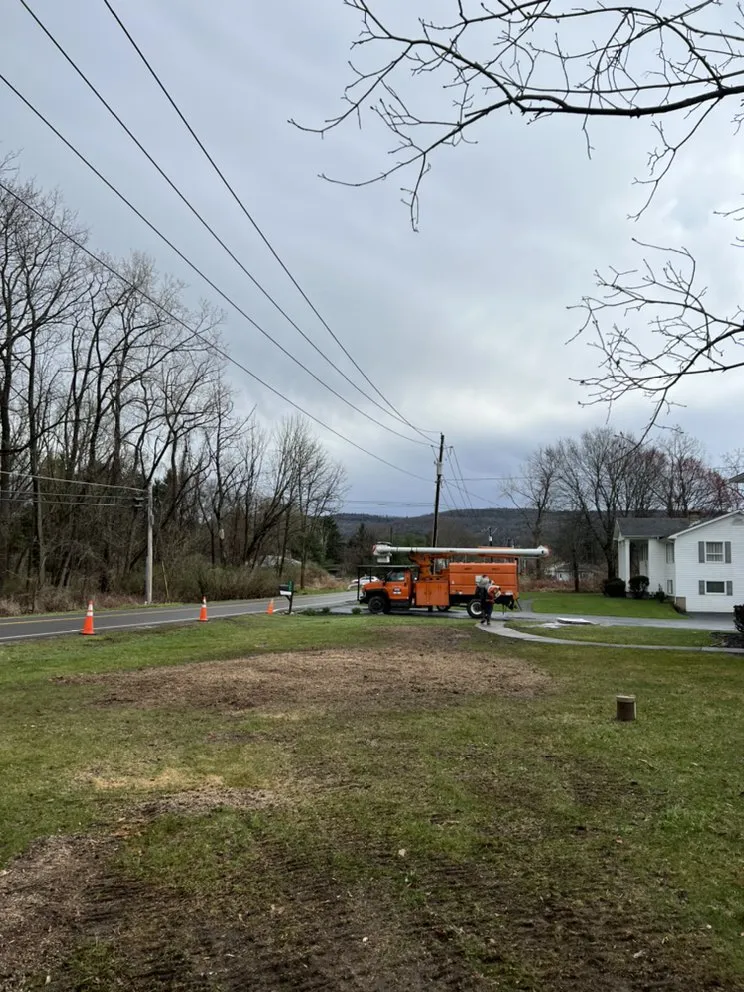 Top-rated residential landscaping experts serving Horseheads, NY - QTS Quality Tree Service