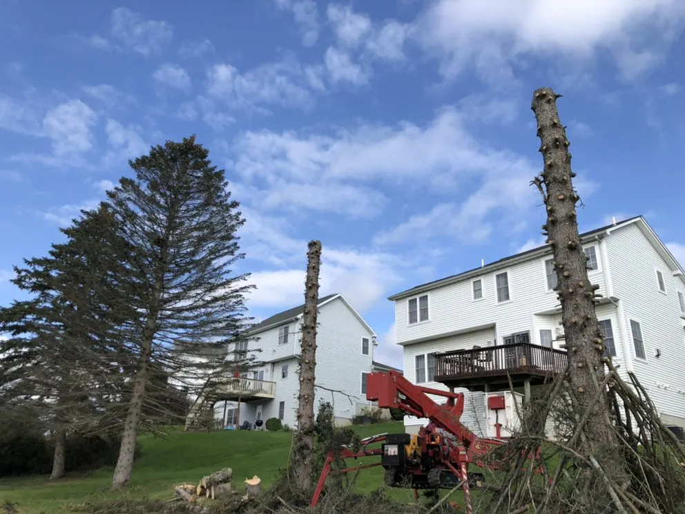 Trusted landscaping services in Horseheads, NY - QTS Quality Tree Service