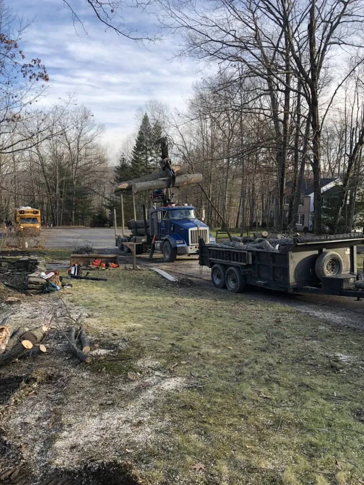 Local yard maintenance for residential properties across Horseheads, NY - QTS Quality Tree Service