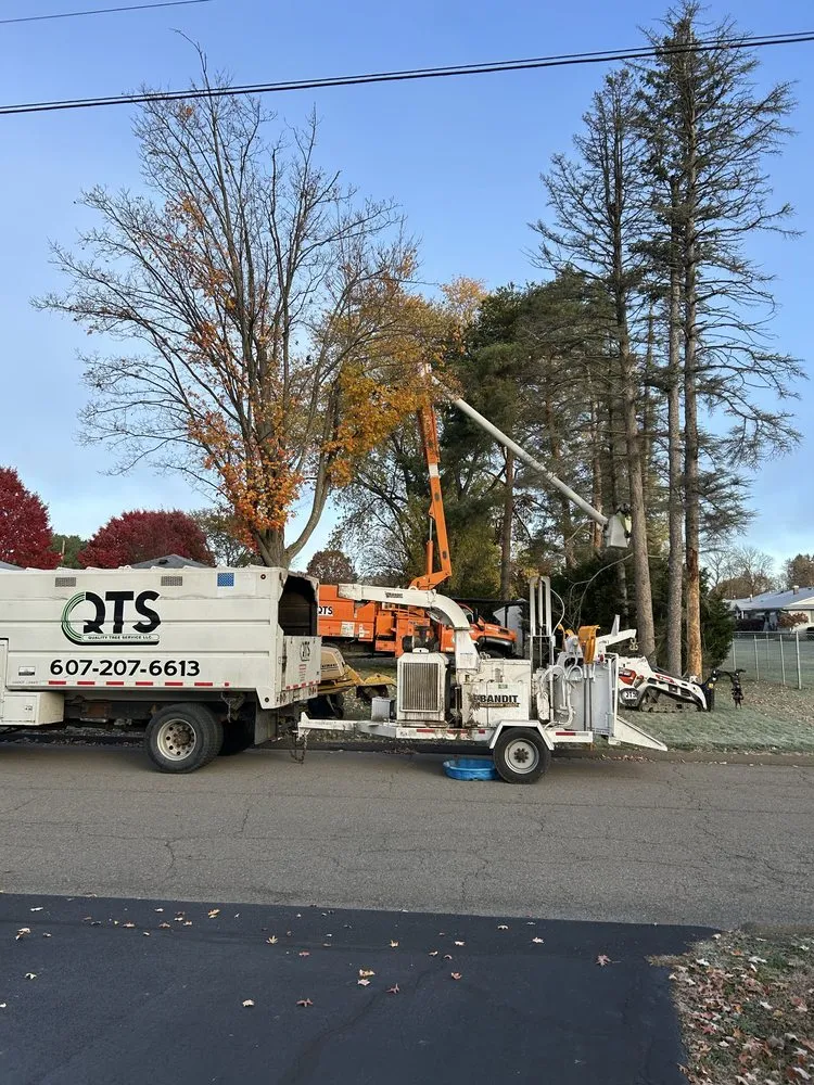 Professional lawn care service for year-round maintenance across Horseheads, NY - QTS Quality Tree Service