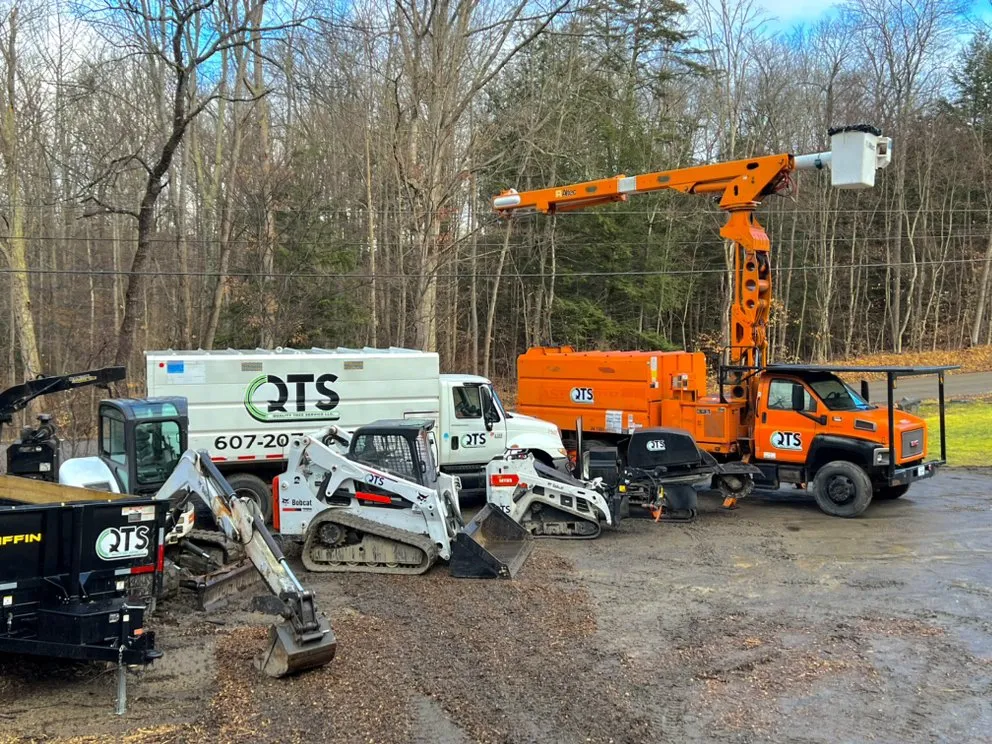 Top-rated lawn care service for residential properties in Horseheads, NY by QTS Quality Tree Service