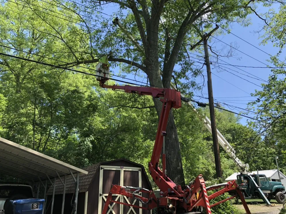 Expert landscape design in Horseheads, NY - QTS Quality Tree Service