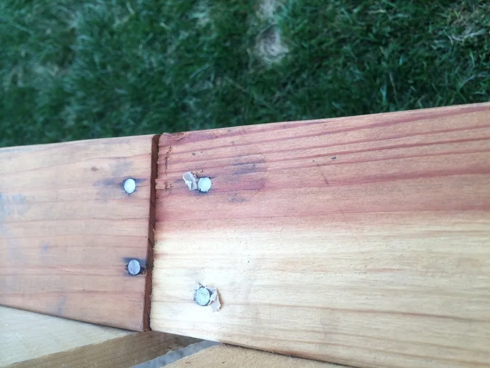 Local outdoor landscaping in San Jose, CA - Quail Landscape