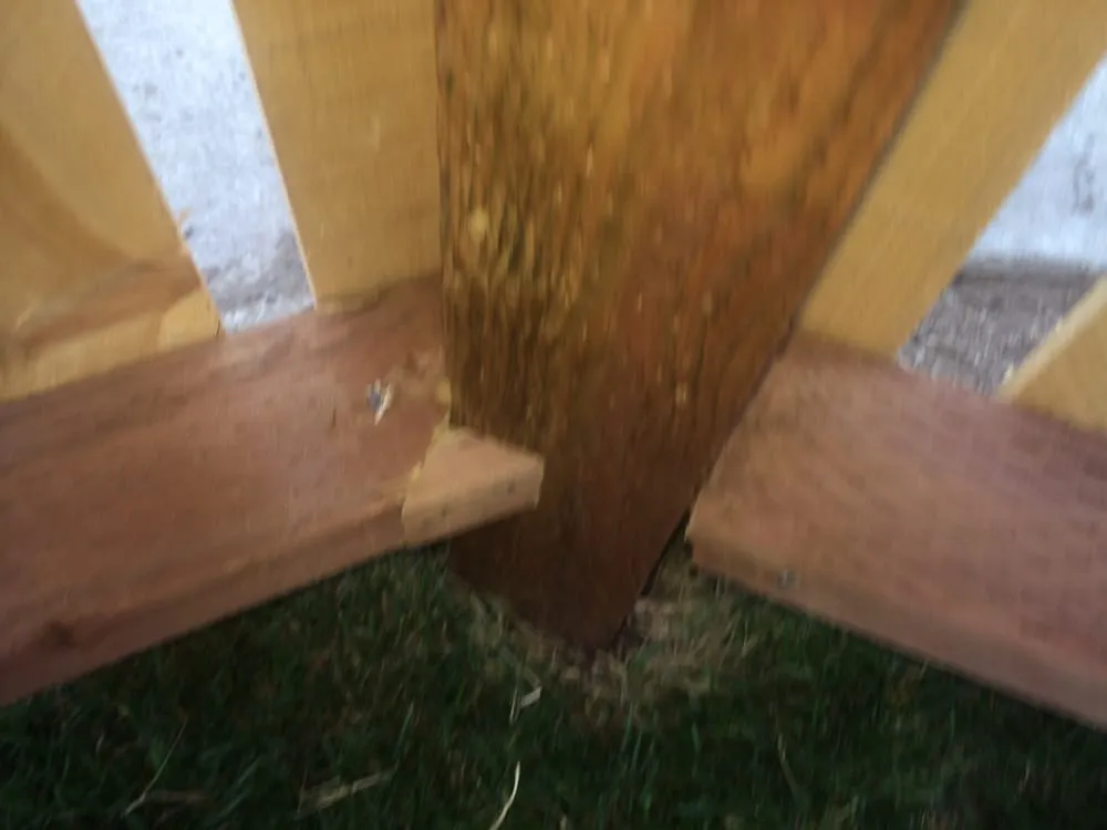 Affordable garden landscaping for beautiful yards in San Jose, CA by Quail Landscape