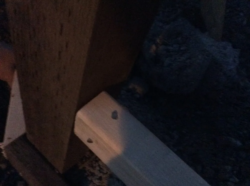 Affordable yard maintenance with custom design across San Jose, CA - Quail Landscape