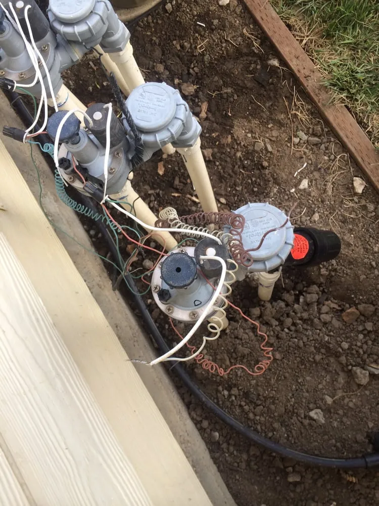 Local landscape design for outdoor upgrades across San Jose, CA - Quail Landscape