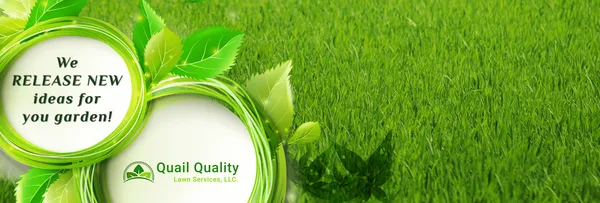 Quail Quality Lawn Service Logo