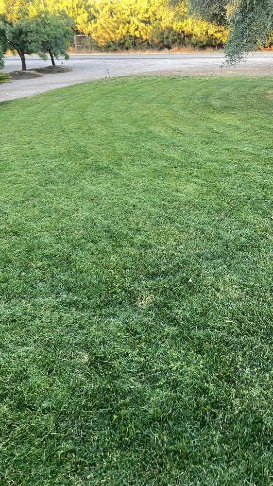 Top-rated residential landscaping in Selma, CA - Quailty Lawn Care