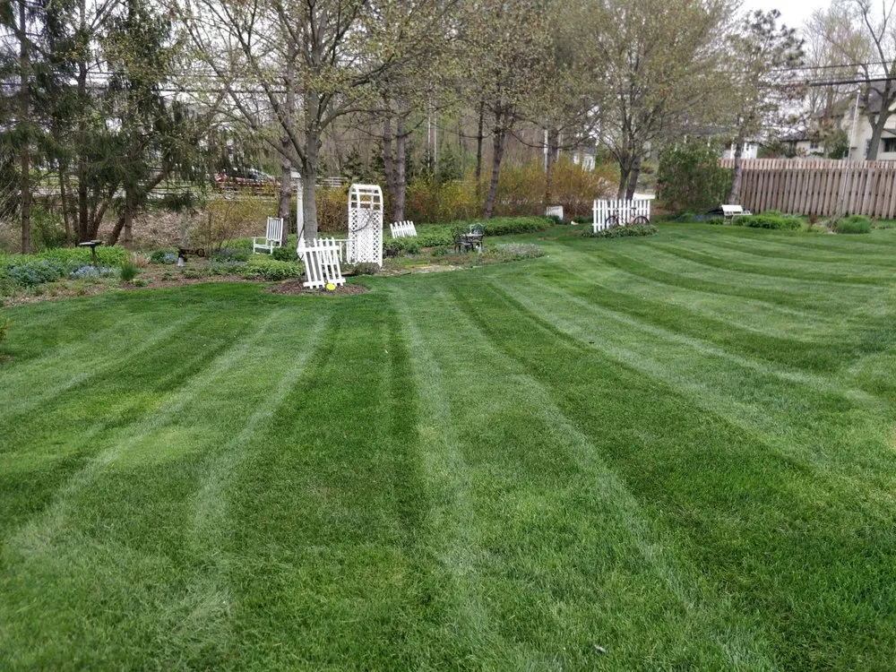 Expert yard cleanup service in Aurora, OH - QualCut Lawn Care LLC