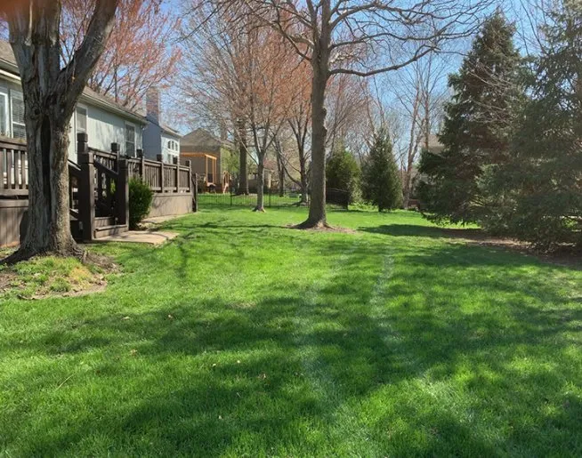 Local lawn care service for homes across Bonner Springs, KS - Quality All Care Lawn Services
