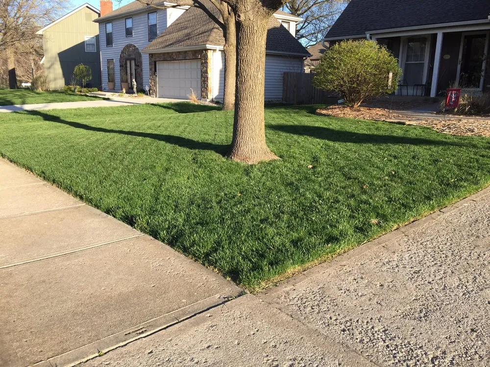Affordable yard maintenance for outdoor upgrades in Bonner Springs, KS by Quality All Care Lawn Services