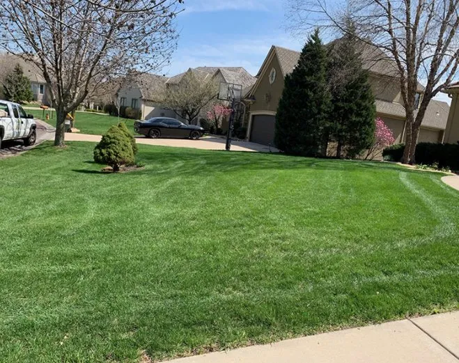 Professional residential landscaping in Bonner Springs, KS - Quality All Care Lawn Services