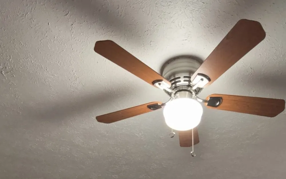 Trusted yard cleanup service for year-round maintenance across Worcester, MA - Quality Asphalt Sealcoating & Services