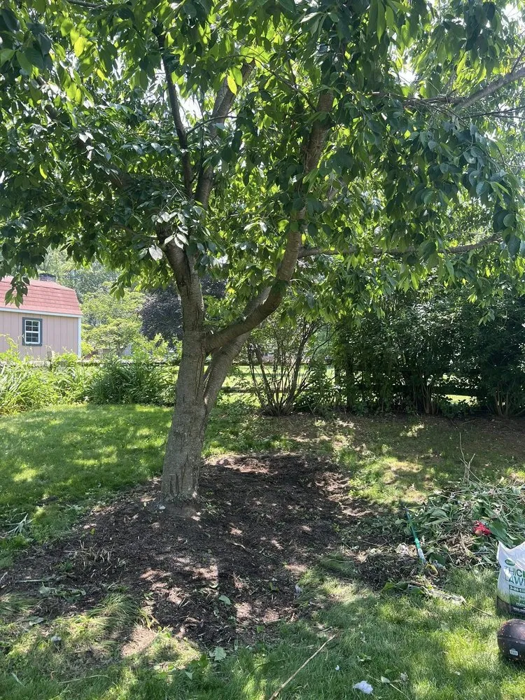 Reliable outdoor landscaping in York, PA by Quality Build Group