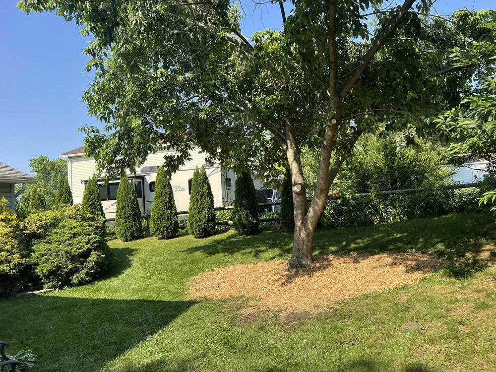 Trusted lawn mowing service in York, PA by Quality Build Group