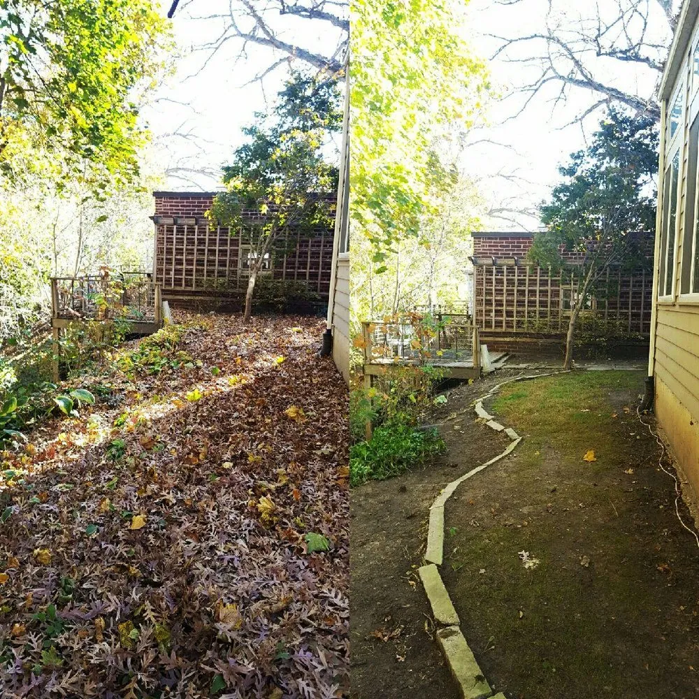 Expert landscaping services experts serving Coralville, IA - Quality Care