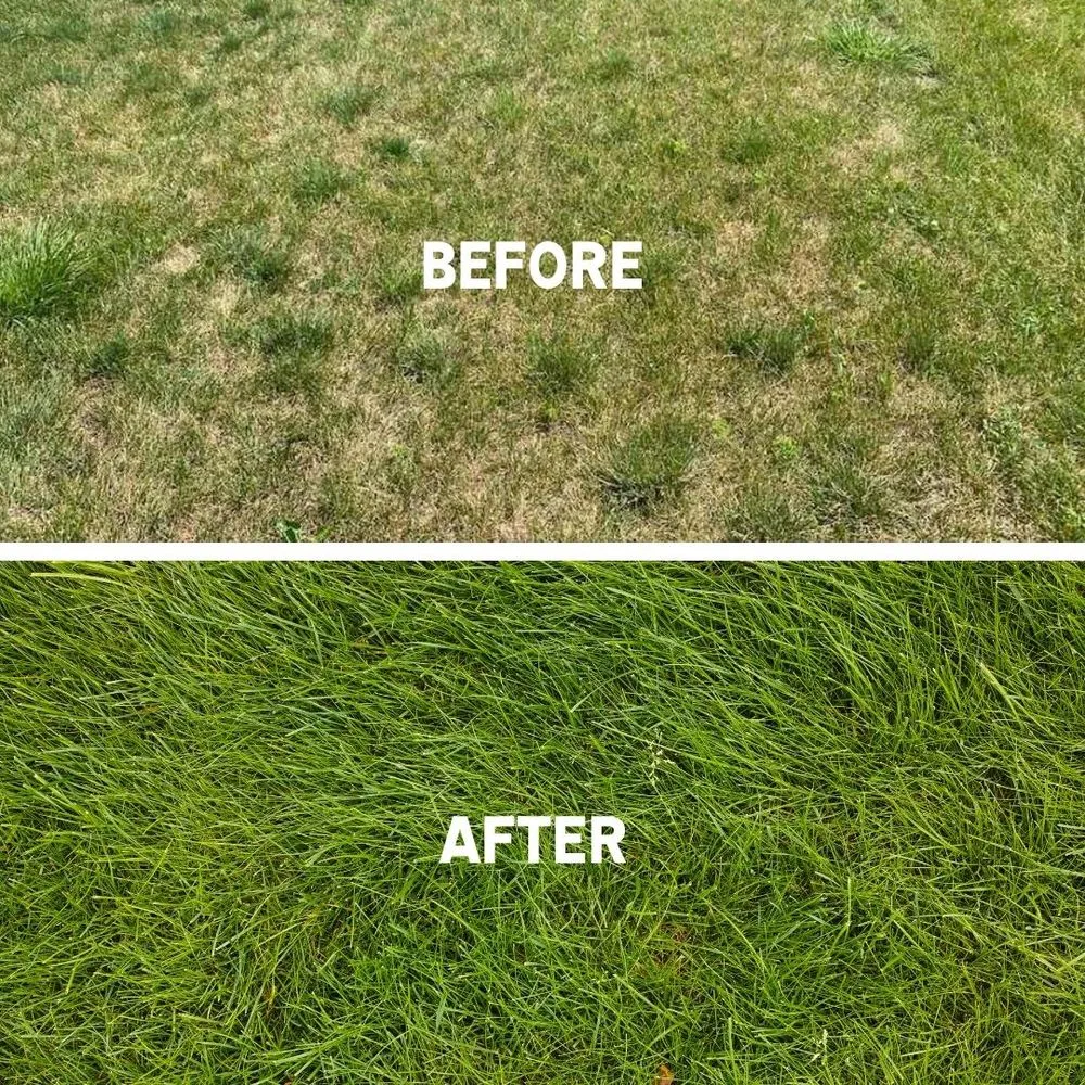 Local residential landscaping with custom design across Coralville, IA - Quality Care