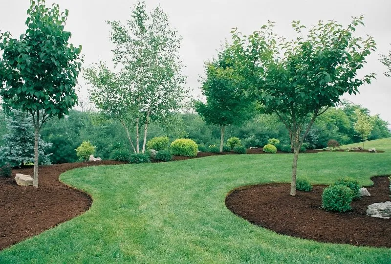 Expert lawn care service near you in Coralville, IA by Quality Care