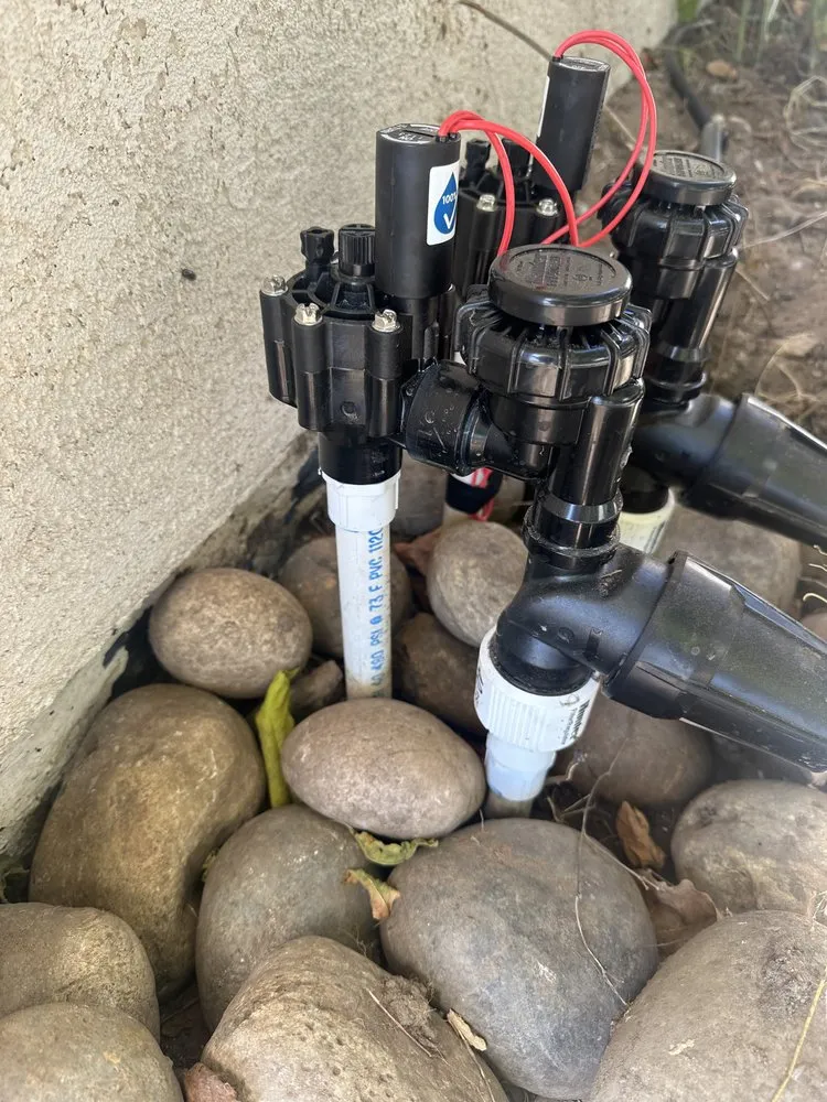 Local lawn care service in Pismo Beach, CA - Quality Care Landscape