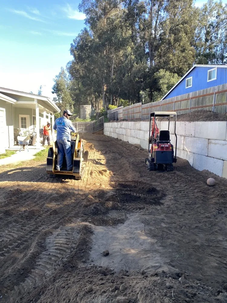 Professional outdoor landscaping in Pismo Beach, CA by Quality Care Landscape