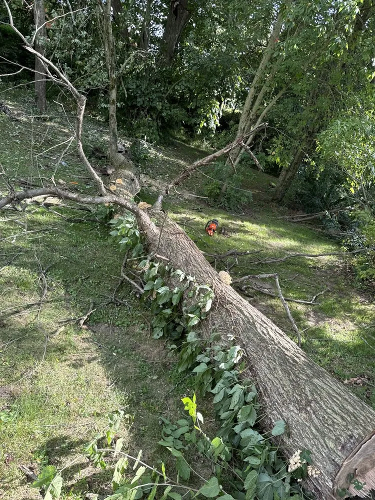 Reliable yard maintenance in Nevada, OH - Quality Care Landscapes