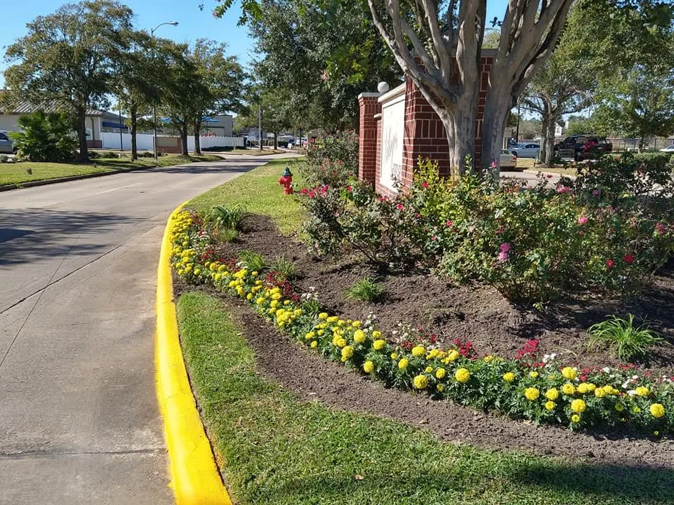 Affordable landscaping services near you across Cypress, TX - Quality Care Landscaping And Pressure Washing