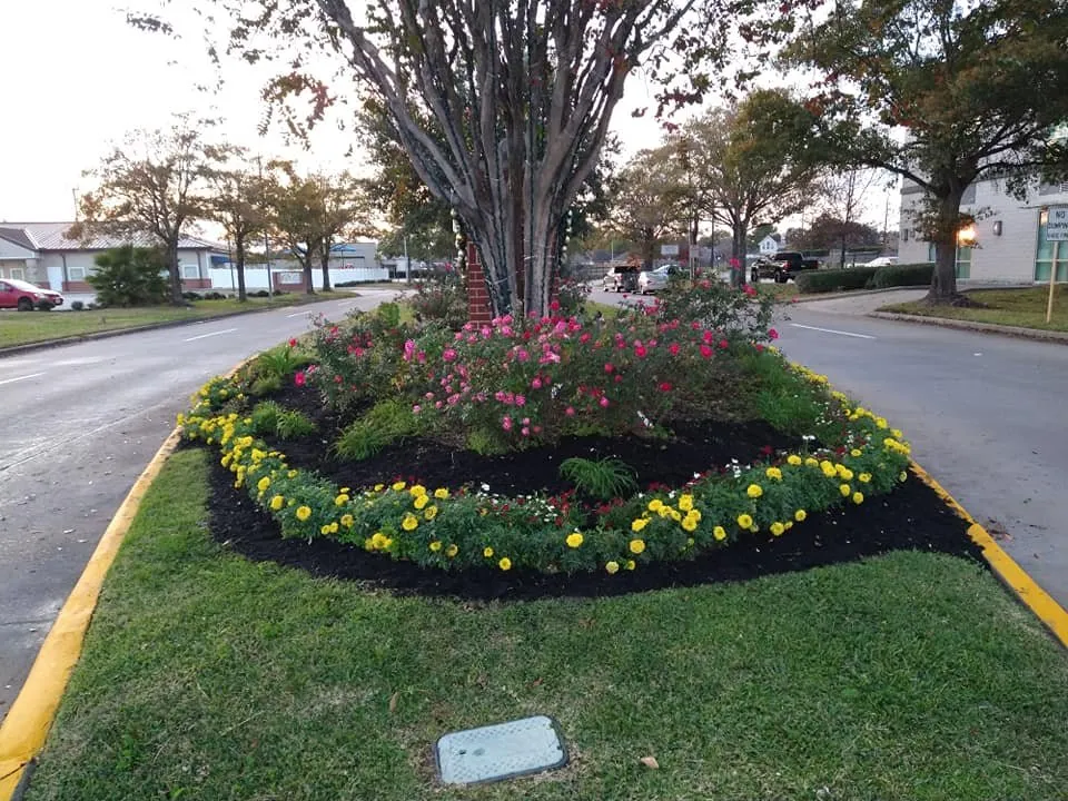 Professional yard maintenance experts serving Cypress, TX - Quality Care Landscaping And Pressure Washing