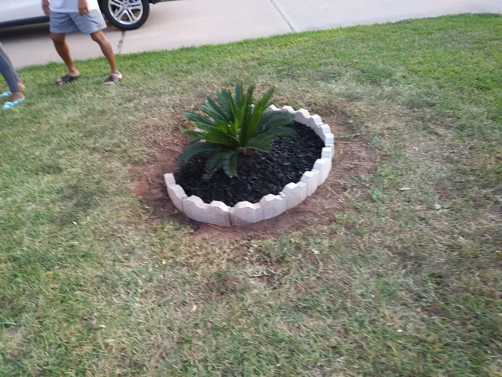 Top-rated landscape design in Cypress, TX by Quality Care Landscaping And Pressure Washing