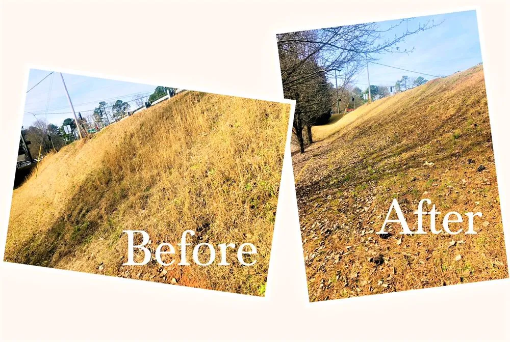 Reliable residential landscaping in Grayson, GA - Quality Care Landscaping