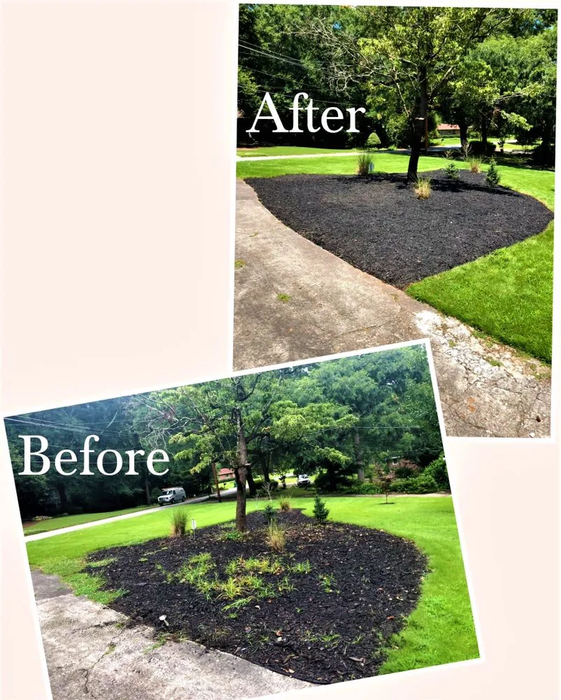 Top-rated garden landscaping for beautiful yards in Grayson, GA by Quality Care Landscaping