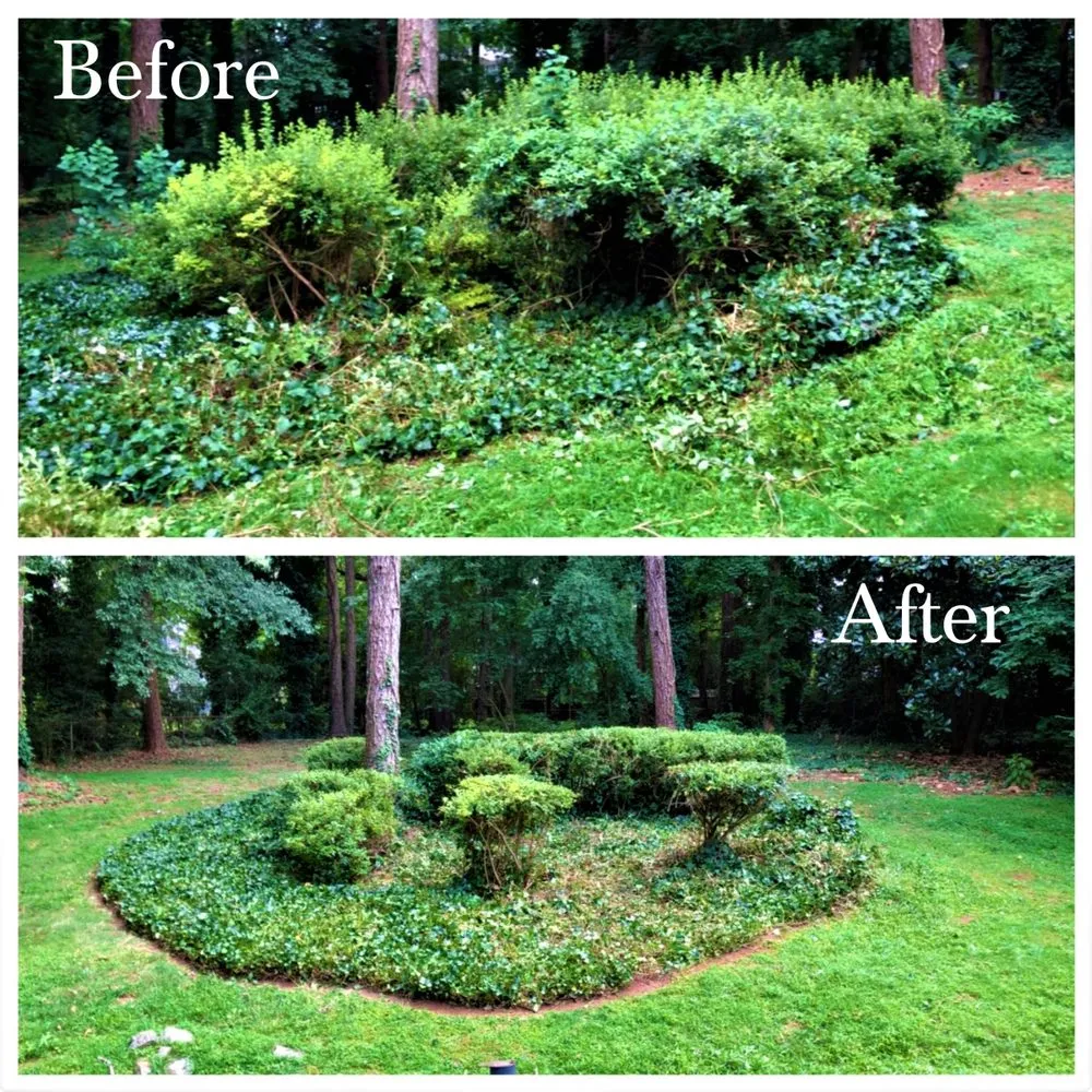 Trusted landscape installation experts serving Grayson, GA - Quality Care Landscaping