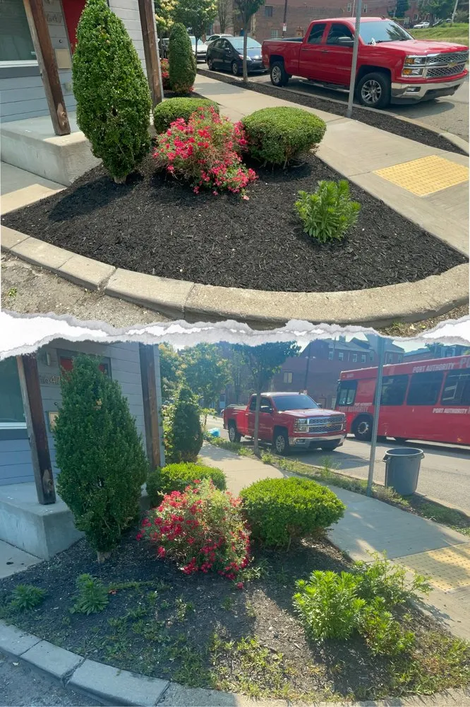 Custom landscaping services for beautiful yards in Pittsburgh, PA by Quality Care Landscaping