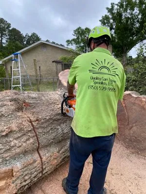 Quality Care Lawn Specialists Logo