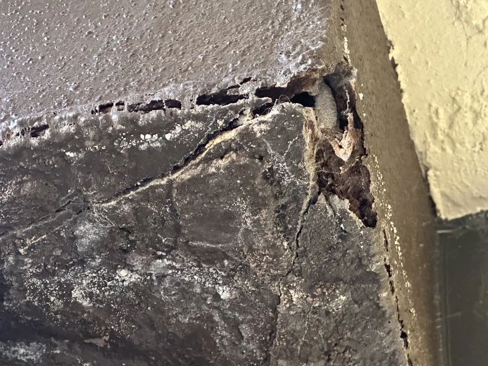 Reliable lawn mowing service for residential properties across North Port, FL - Quality Choice