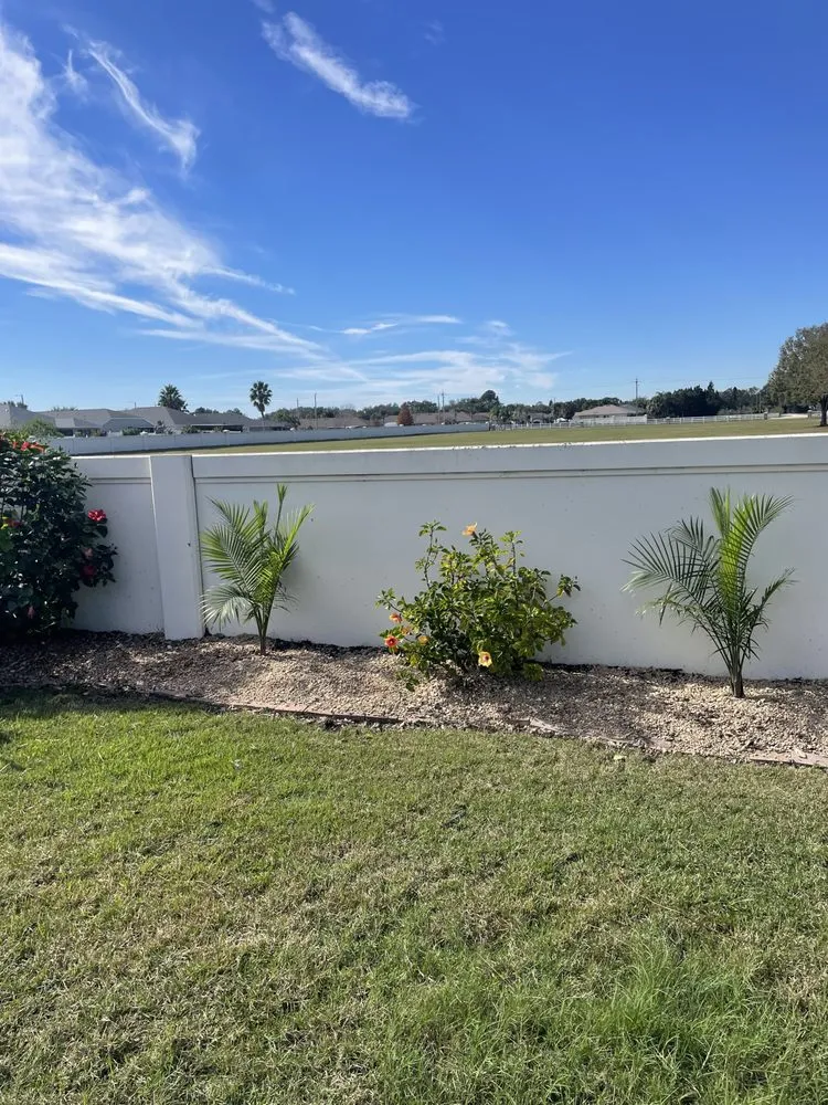 Affordable residential landscaping in Clair-Mel City, FL - Quality Clean Kutz